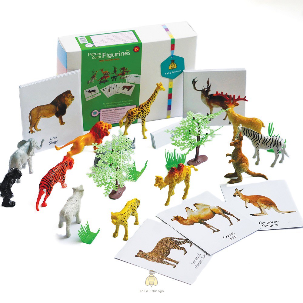 Figurine & Flashcard - WILD Animal - Tata Edutoys