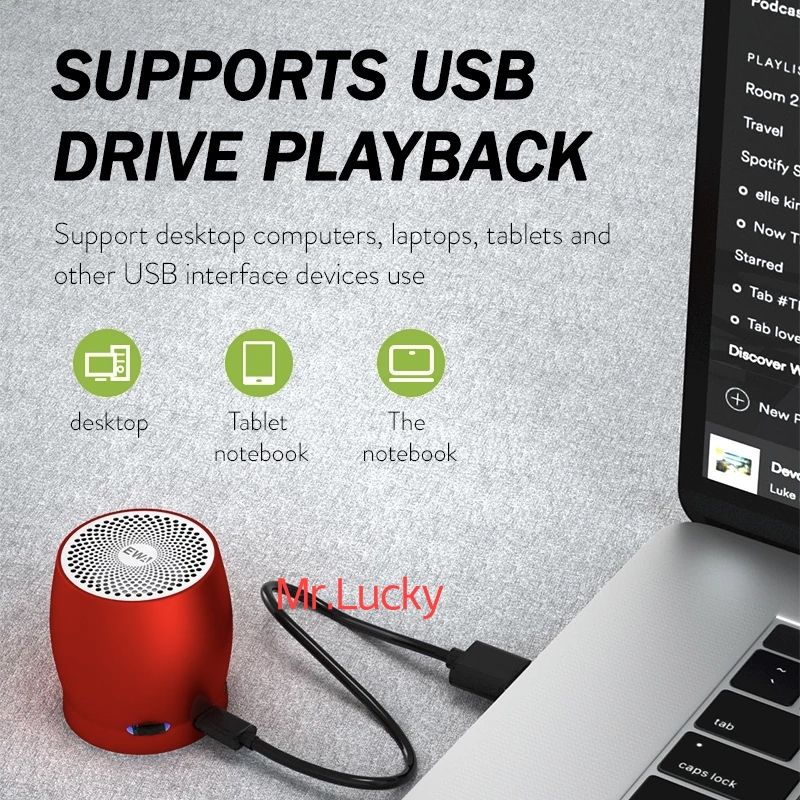 Speaker Original EWA Body Metal