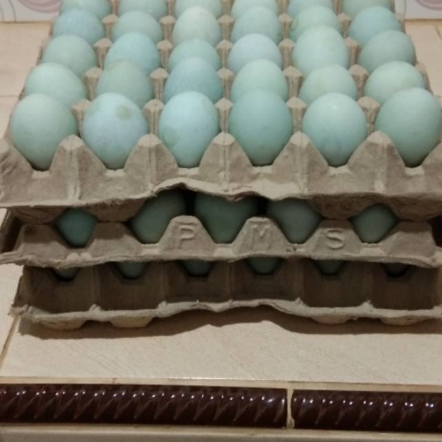 

Telur asin#nganjuk#