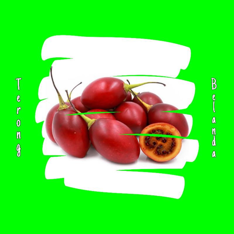 

terong belanda segar