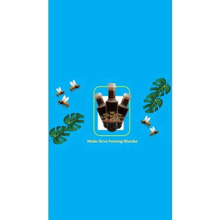

madu Apis Melivera 1kg