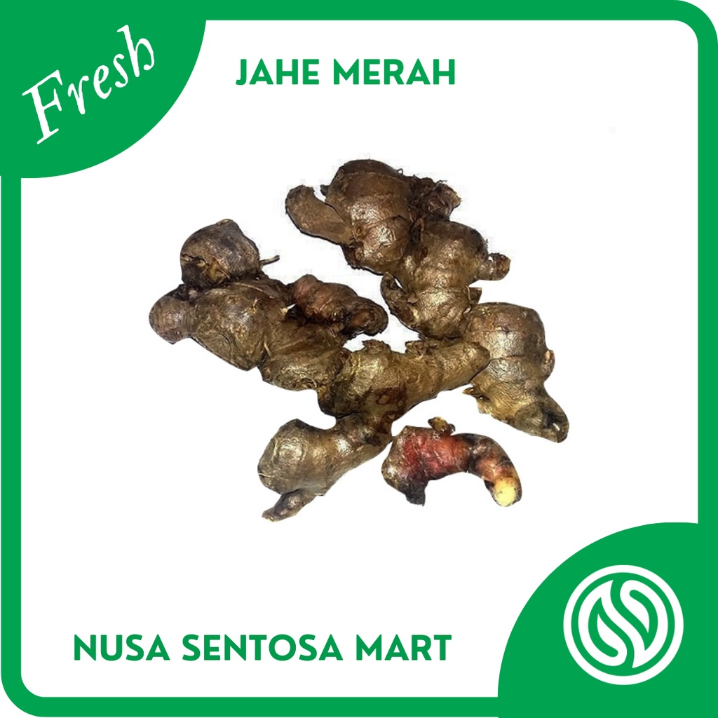 

Bumbu Jahe Merah Segar – 250g