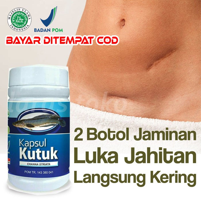 

PAKET 2 Kapsul Kutuk Premium Luka 5x Cepat Sembuh Ekstrak Albumin Ikan Gabus Kuthuk BPOM bayar cod