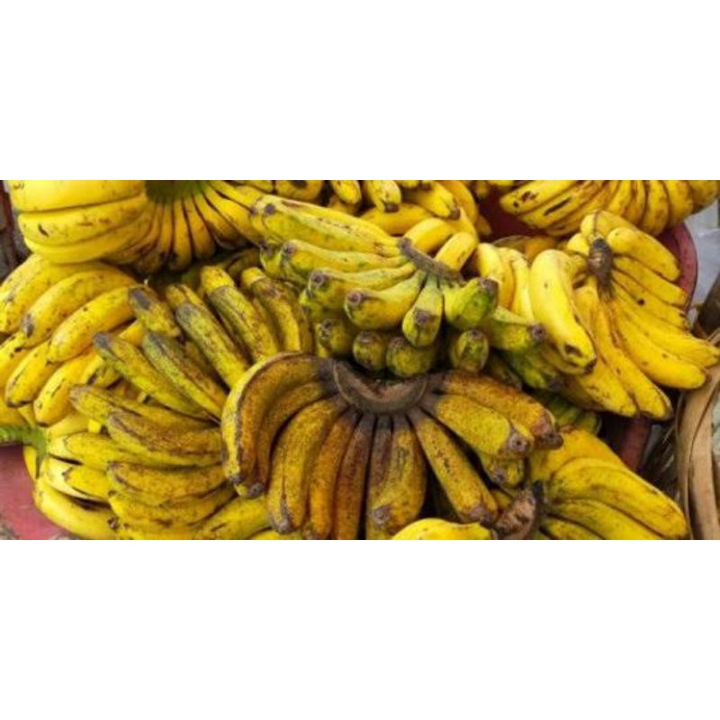 Pisang Barangan Medan per sisir