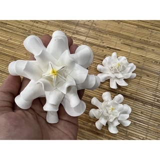 Jual Bunga Jempiring Putih Bali | Shopee Indonesia