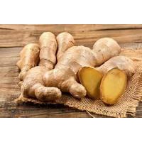 

JAHE FRESH ASLI KUBULANGKA TANGGAMUS