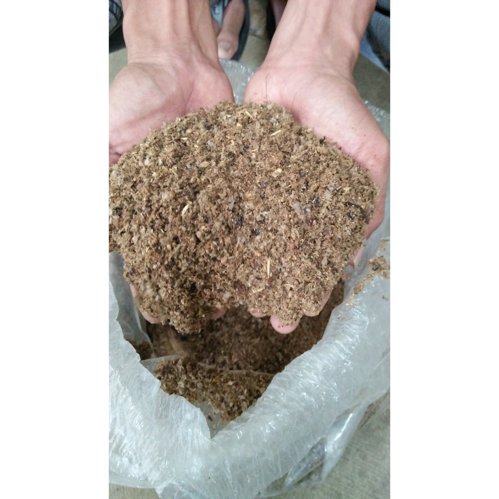 Pakan Konsentrat Sapi Domba Dan Kambing Bermutu Tunggi Kemasan Sak