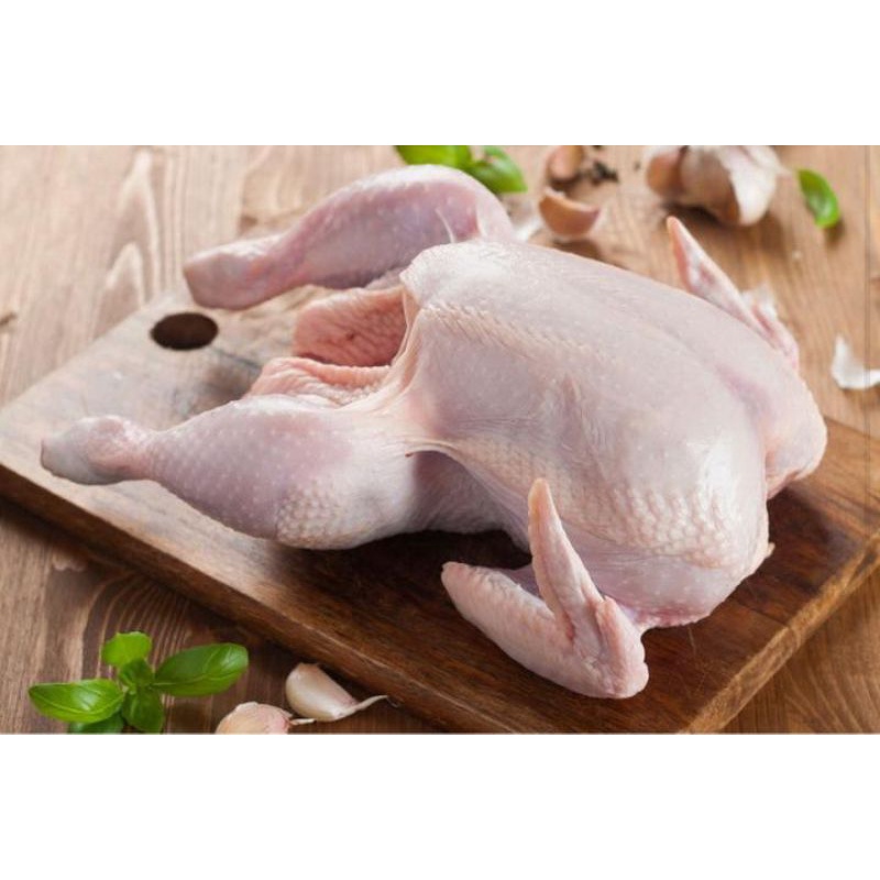 

AYAM UTUH FRESH ukuran sedang