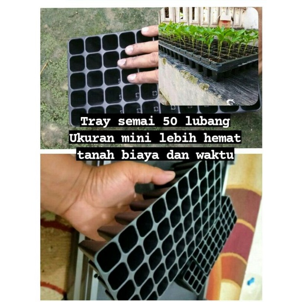 tray semai Mini  50 lubang tray/potray/semai/bibit