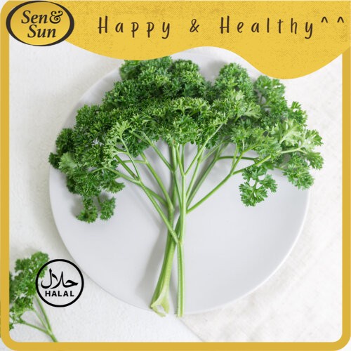 

Sen&Sun Daun Parsley Conventional 100 gr