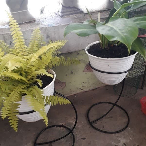 standing pot 18cm melengkung A1/standing planter/pot tanaman