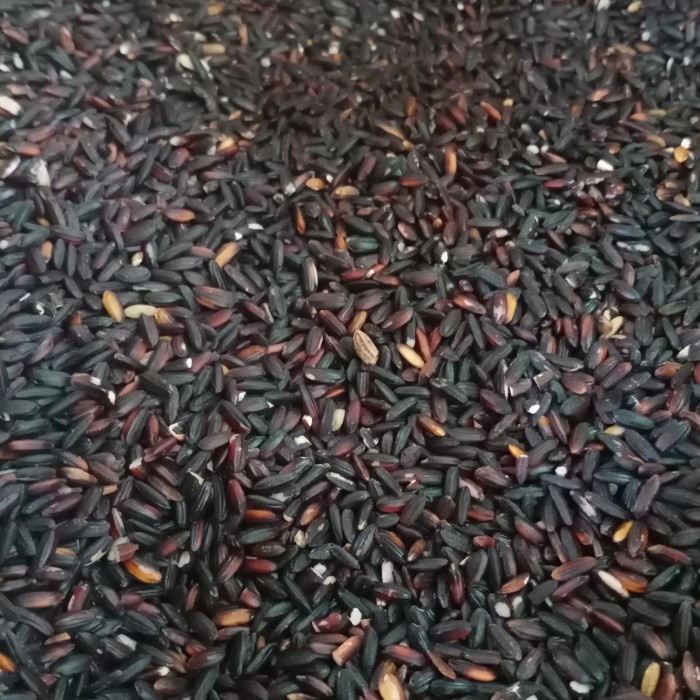 

KETAN-BERAS- BERAS KETAN HITAM 250 GR -BERAS-KETAN.