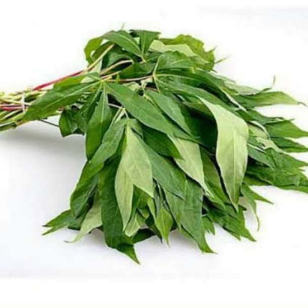 

BSM | TERMURAH Daun Ubi Segar per Ikat / Daun Ubi | Sayur online