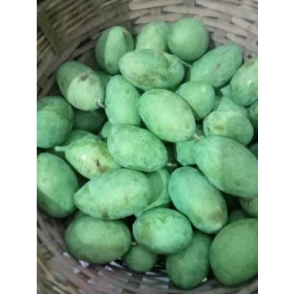 

mangga manalagi mentah/buat rujak 1 kg