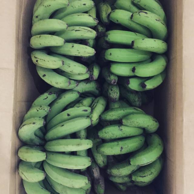 

Agen Pisang Barangan Medan