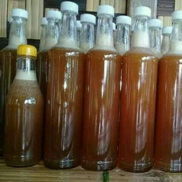 

Madu Hutan Asli