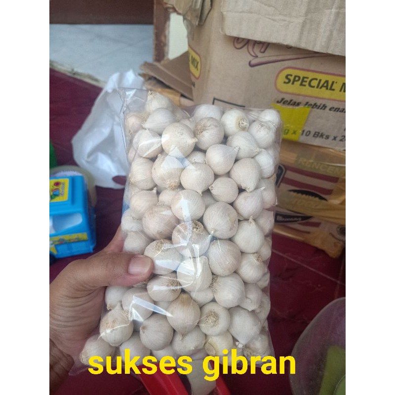 

Bawang putih tunggal asli super 1 kg