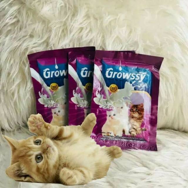 Grosir Susu Anak Kucing Growssy Milk Sachet 20gr Kitten Cat 20 gram Baby Milk