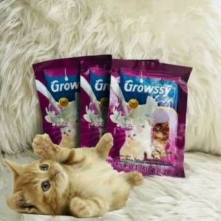 Image of Grosir Susu Kucing Growssy Milk Sachet 20gr Kitten Cat 20 gram Baby Milk