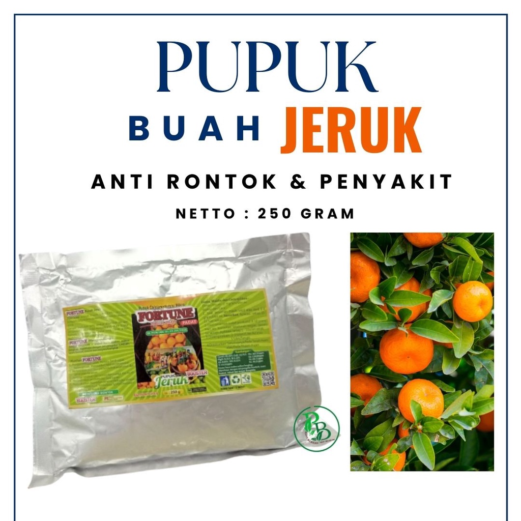 Pupuk jeruk nipis agar berbuah lebat, nutrisi tanaman jeruk Siam, pupuk booster jeruk supaya tumbuh 