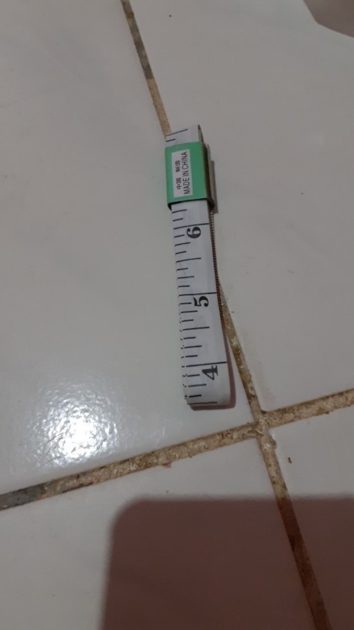 Meteran Kain / Baju / Badan Model Pita 150 Cm Merk Butterfly