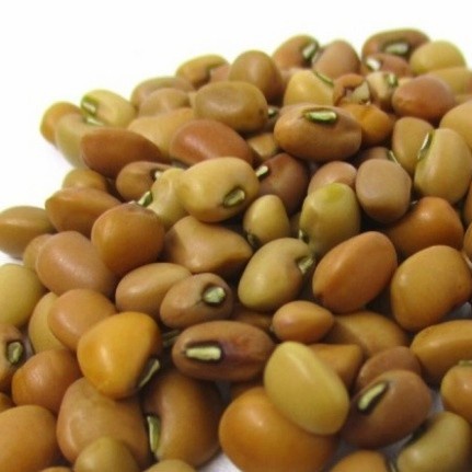 

Kacang Dadap/Tolo/Tunggak/Kebo 200 gram