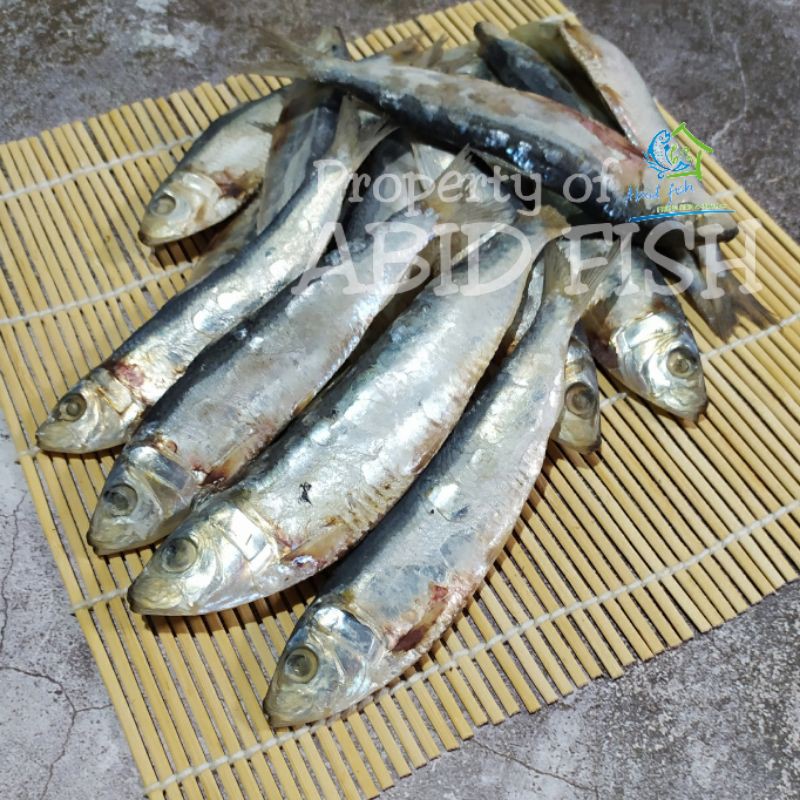 

Ikan asin Tembang kemasan 100 gram
