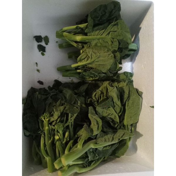 

Kailan Hijau Lokal 1 Kg Fresh.