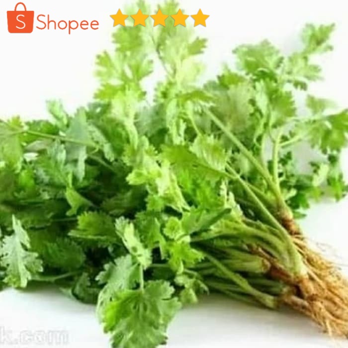 

wansui (daun ketumbar) / 2pcs(ikat)