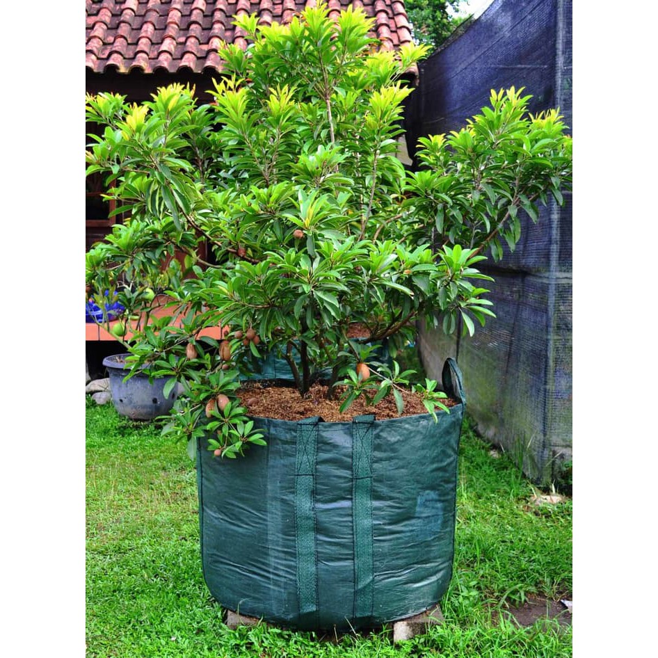 Unik Planter Bag 400 Liter PLASTIK polybag pot bibit tanaman buah   bonsai Diskon