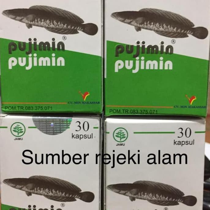 Sale Pujimin Ikan Gabus 30 Kapsul Terbaru