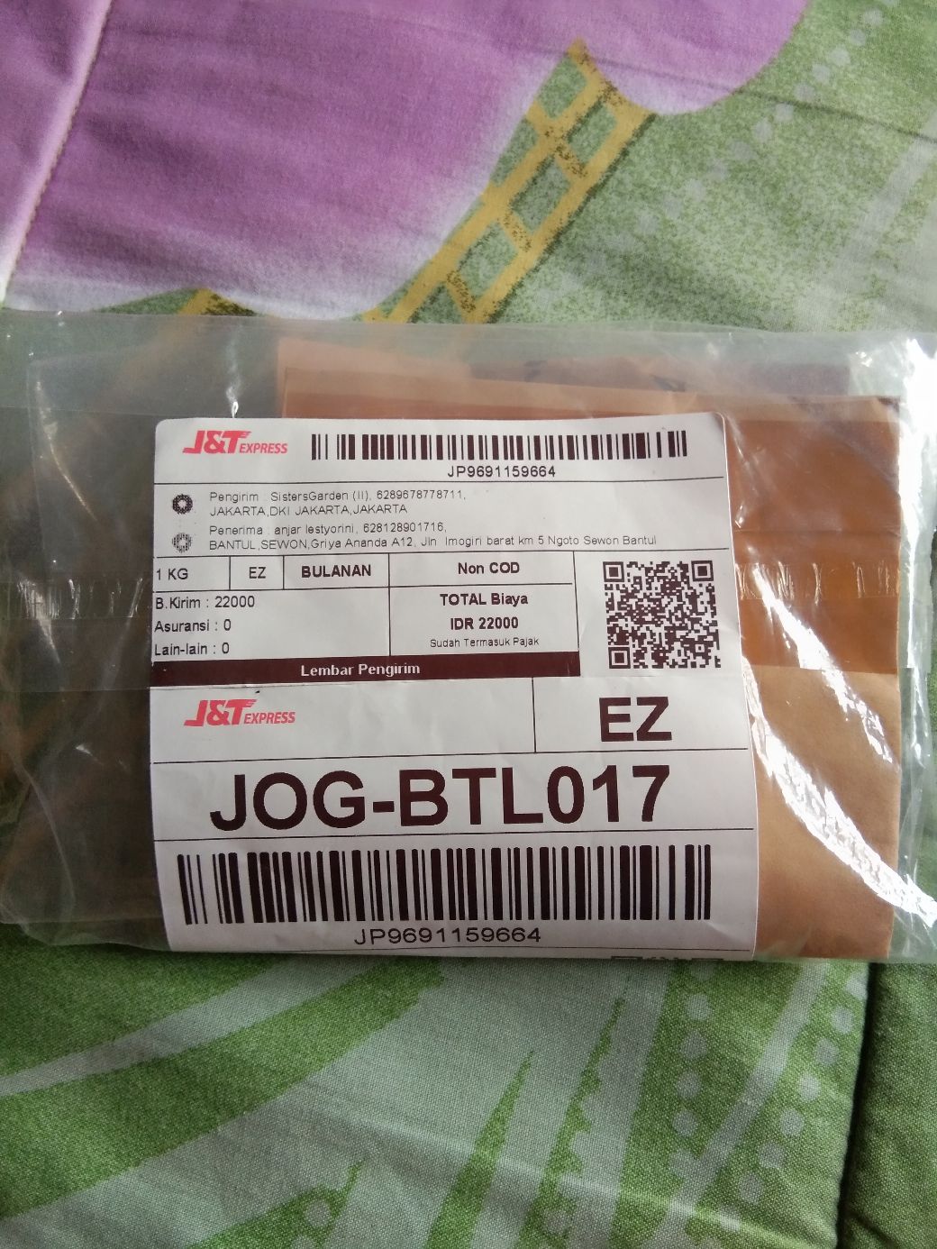 Vinca Softpink Hallo (benih/seed/biji) Tegak