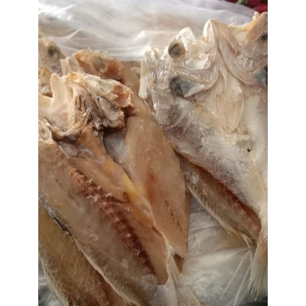 Ikan Asin Kepala  Batu Teri Medan Udang Rebon