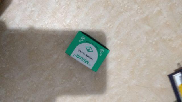 Paku Payung Paku Pines Murah Meriah Kemasan 1 Pack