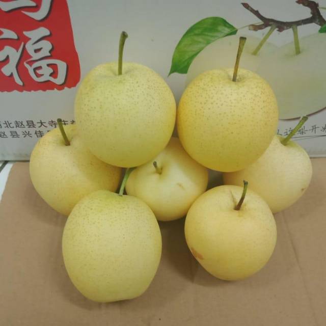 Buah pear yalie isi 96