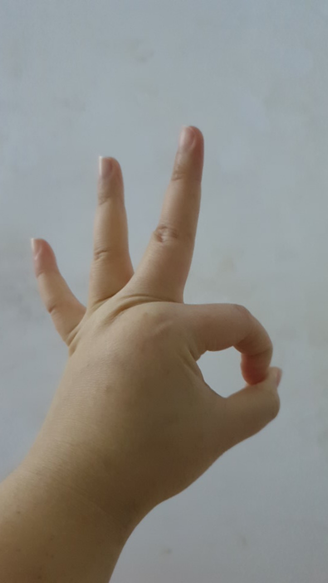 Garuda Usa 10 Inch - Cto Karbon Blok Water Filter