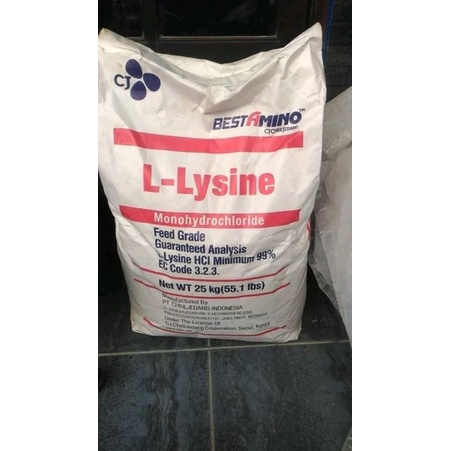 lysine asam amino