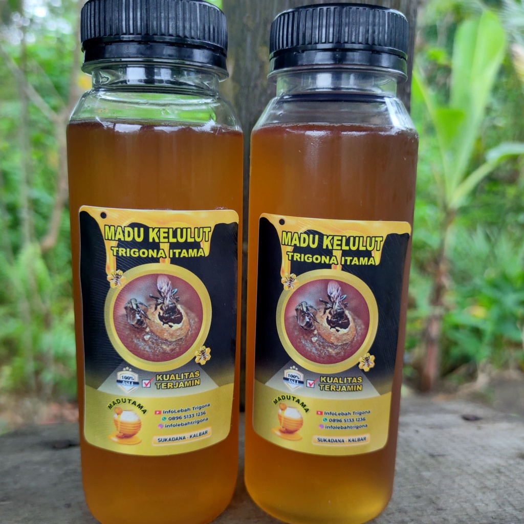 

Madu kelulut, trigona itama, klanceng, teuweul, 500 ML asli dan murni