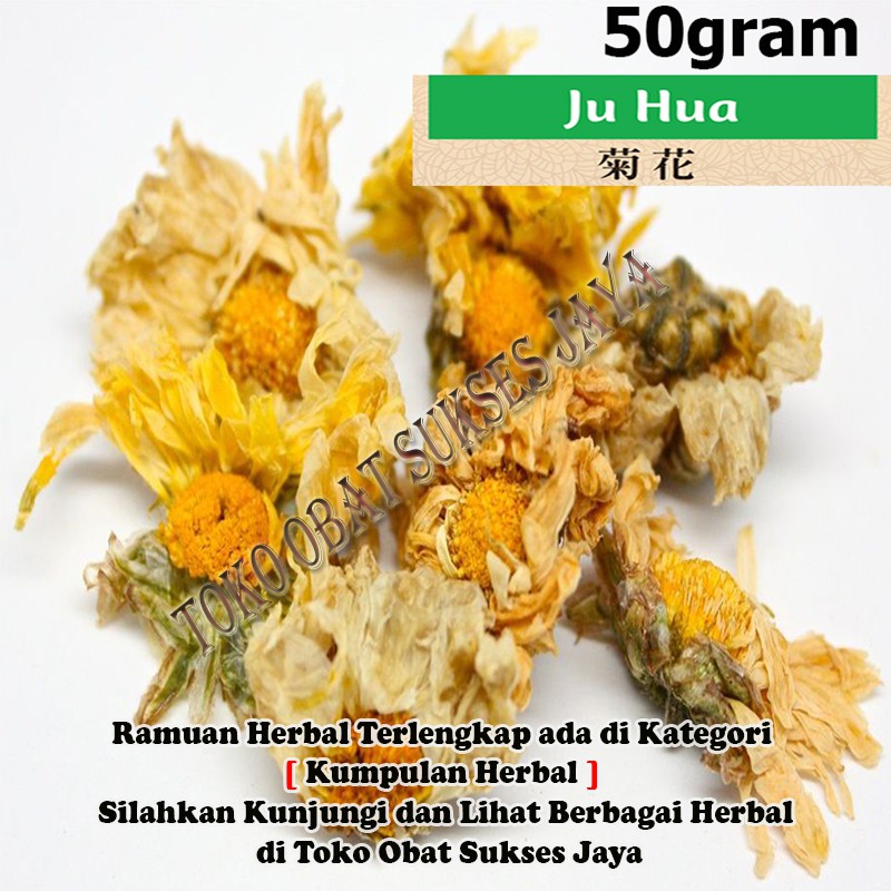 

[50gram] Ju Hua / Teh Bunga Krisan / Chrysanthemum Flower - [ 菊花 ] - Flos Chrysanthemi Morifolii