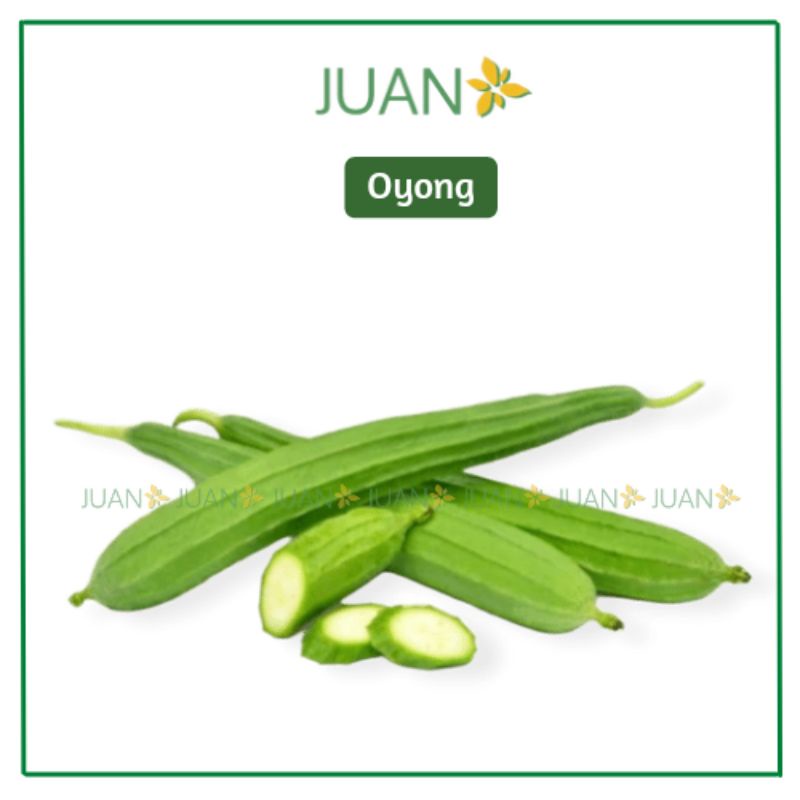 

Oyong/Gambas 500gr - Juan Freshmart