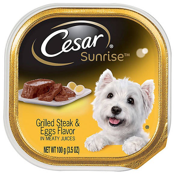 dog food cesar 85 gr