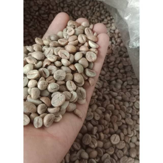 

Biji kopi fine robusta lampung.