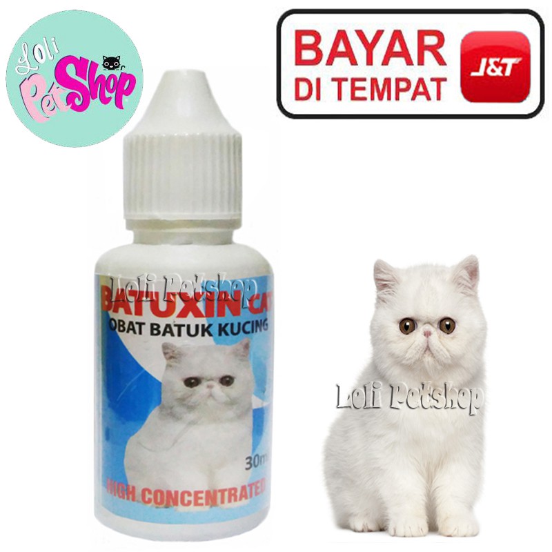 OBAT BATUK PILEK SESAK NAFAS BATUK ALERGI KUCING BATUXIN CAT