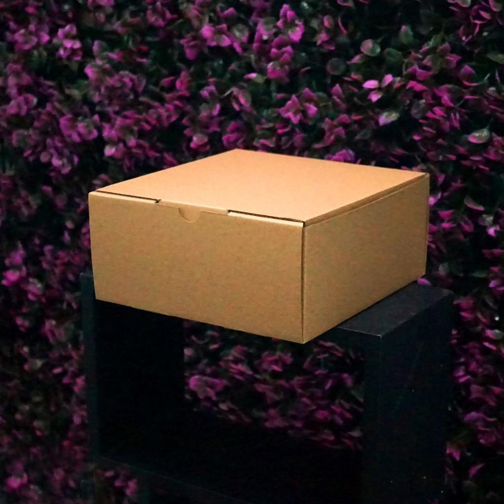 

(Bekasi) Kotak Packaging Polos Tinggi 18 x 18 x 8 cm - Pizza Box - Bentuk Kotak