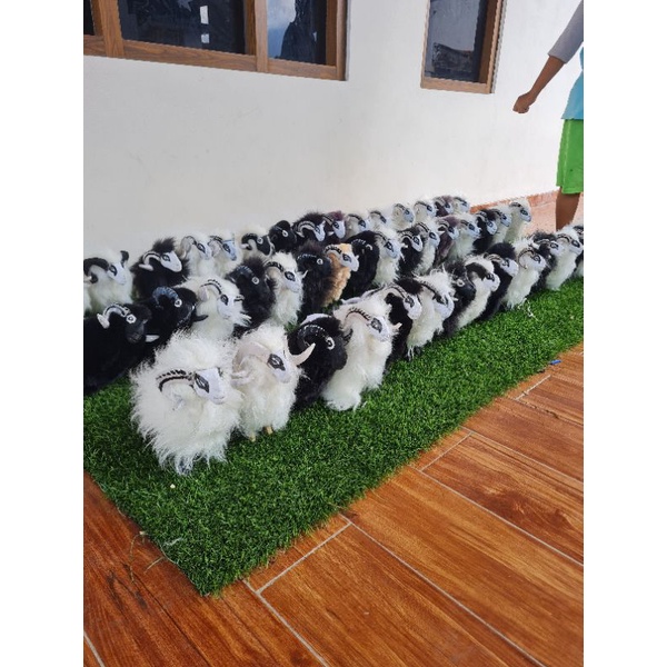 MINIATUR DOMBA GARUT