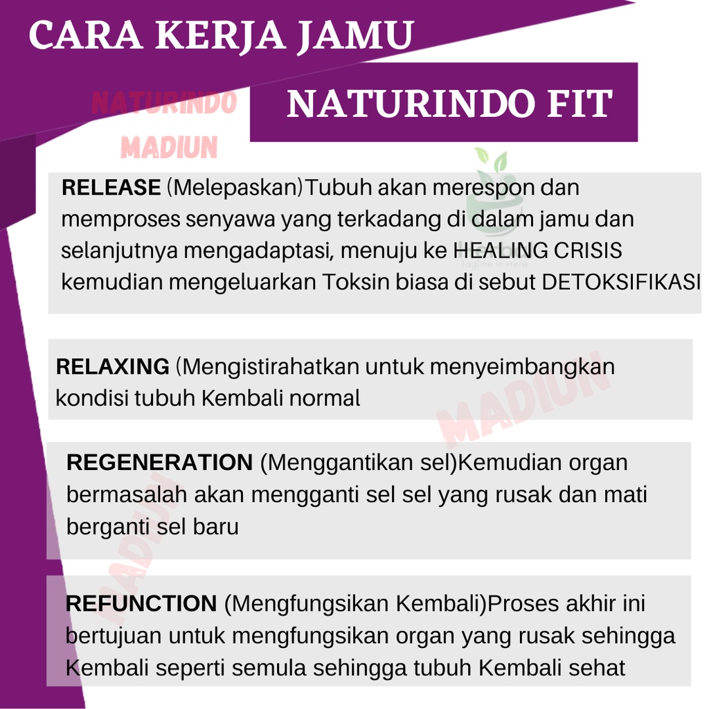 Obat Maag Magh Mah Mag Kronis Herbal Asam Lambung Kembung Mual Gerd Bau Mulut Diare Herbal BPOM Halal Mucosafit Naturindo-8