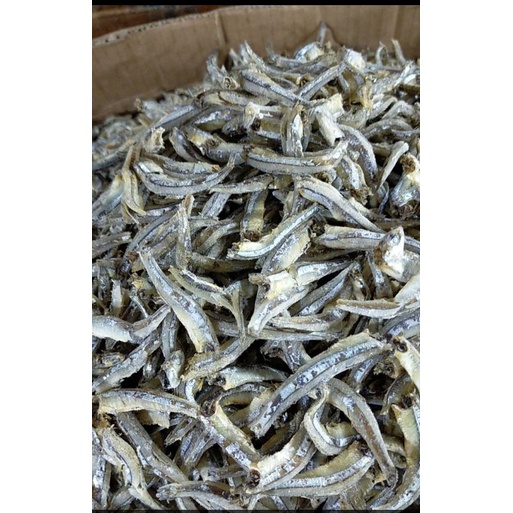 

Ikan teri kacang hitam