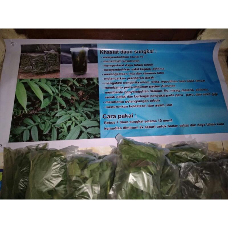 

menjual daun kayu sungkai 100 gram /banyak manfaatnya
