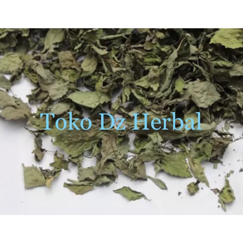 

Daun kumis kucing kering murni daun tanpa batang-az