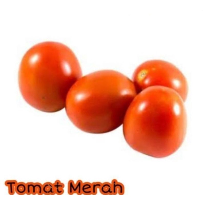 

TOMAT